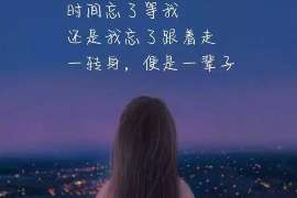 永安婚外情取证